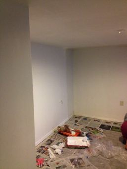 basement bedroom repainting