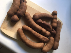 Tamarind pods