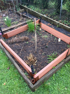 Store-boughten raised bed
