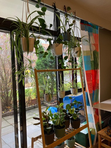 Our apartment, looking out on the patio and parking lot.