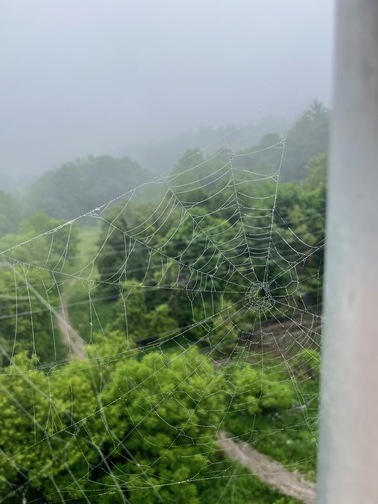 Looking east from Morningside Avenue where it crosses Highland Creek.