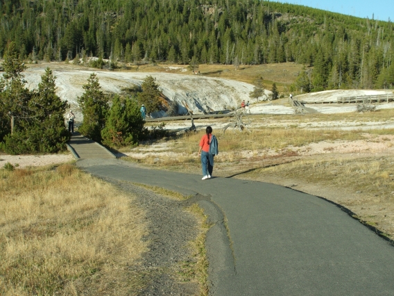 Meher at Yellowstone N. P.