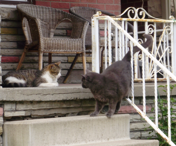 Smokestone and the interloper