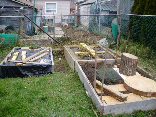 The raised beds, put to sleep.
